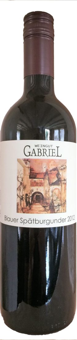 Blauer Spätburgunder (Pinot Noir) – Weingut Gabriel