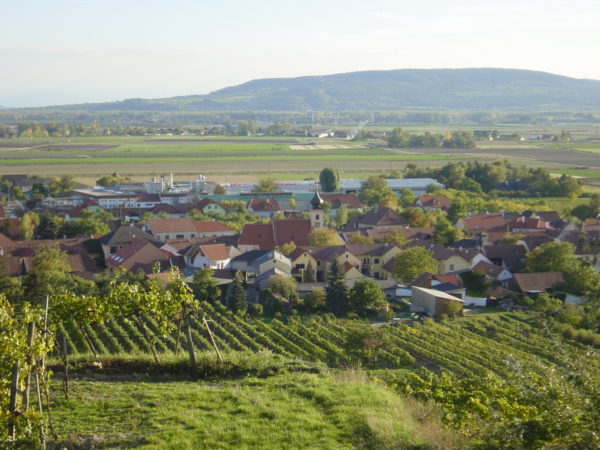 Vergezicht over Gedersdorf Vergezicht over Gedersdorf